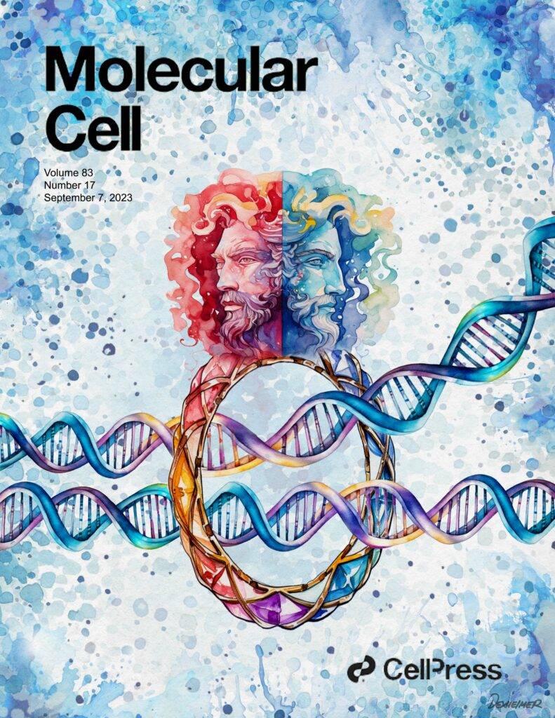 Cover of Molecular Cell journal, Volume 83, Number 17, September 7, 2023, featuring an artistic depiction of the protein complex cohesin as the Roman god Janus with two faces in profile, entwined with a colorful double helix DNA strand, on a watercolor-styled blue background, symbolizing scientific exploration of molecular biology by Cell Press