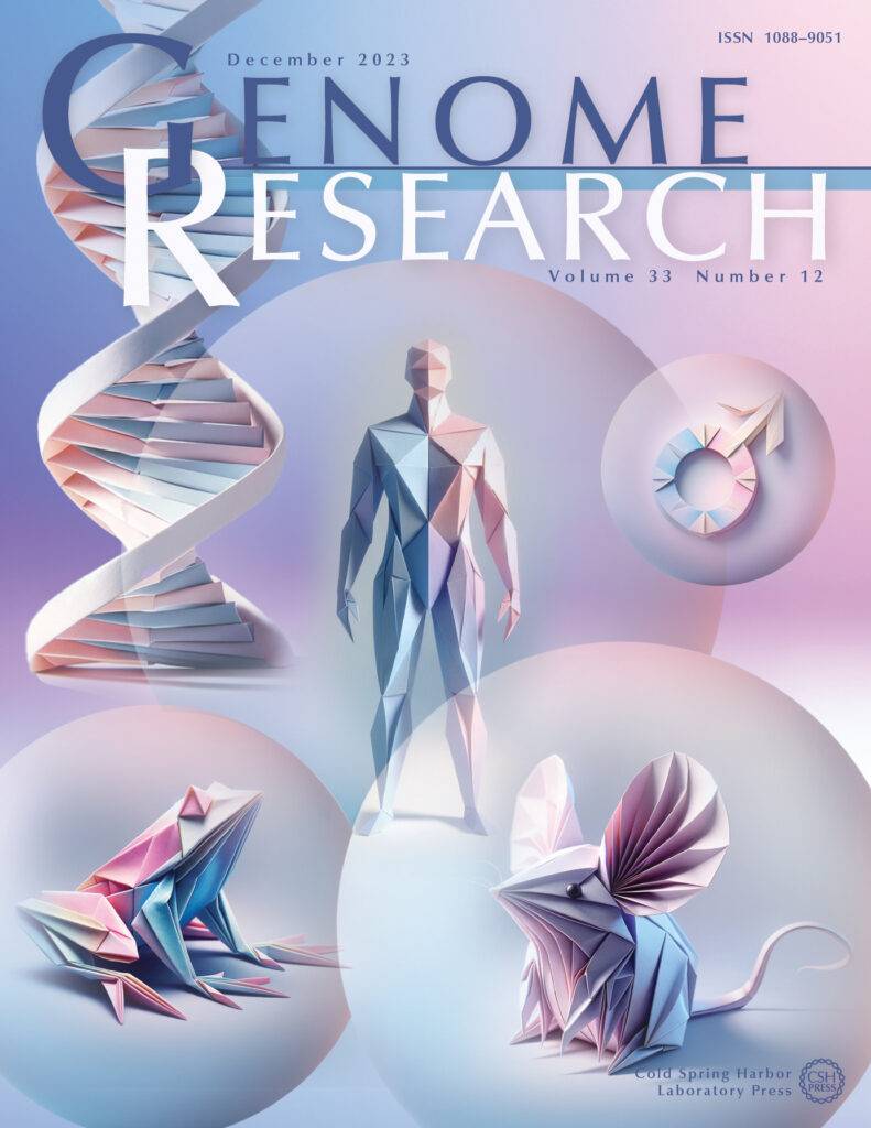 over of Genome Research journal, December 2023, Volume 33, Number 12, displaying a visual metaphor for DNA compaction through origami. It features a central human figure and various animals, all composed of folded paper in pastel colors, juxtaposed against a double helix DNA strand, symbolizing the precision and intricacy of genomic organization. Published by Cold Spring Harbor Laboratory Press.